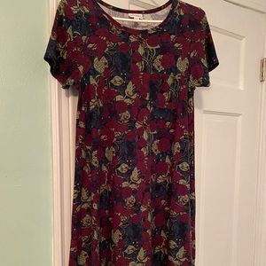 XXS Lularoe Carly